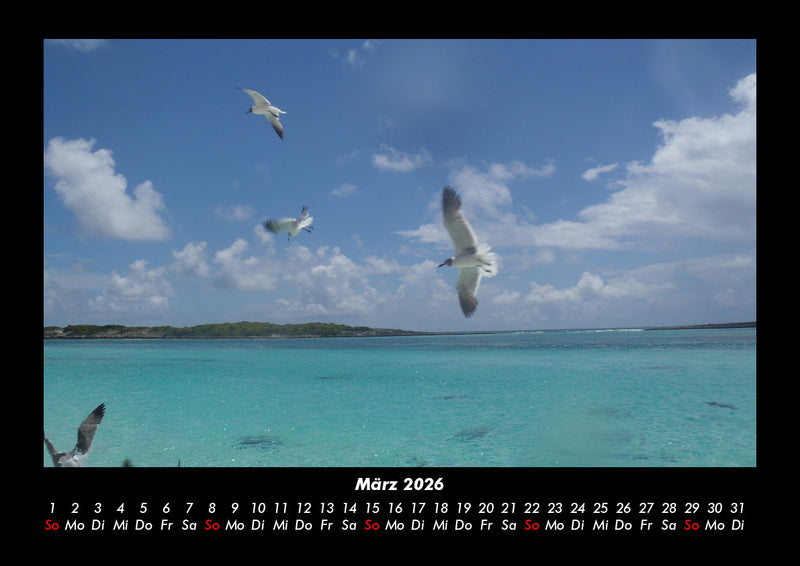 Vogelparadies Fotokalender 2026 - 3