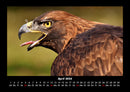 Vogelparadies Fotokalender 2026 - 4
