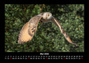 Vogelparadies Fotokalender 2026 - 5