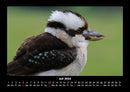 Vogelparadies Fotokalender 2026 - 7