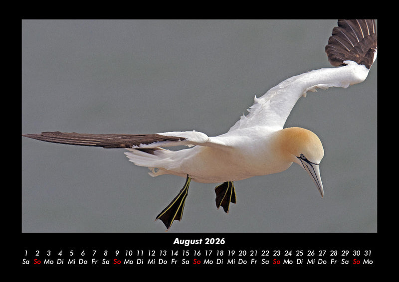 Vogelparadies Fotokalender 2026 - 8