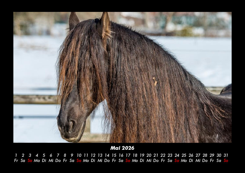 Pferdegeflüster Fotokalender 2026 - 5