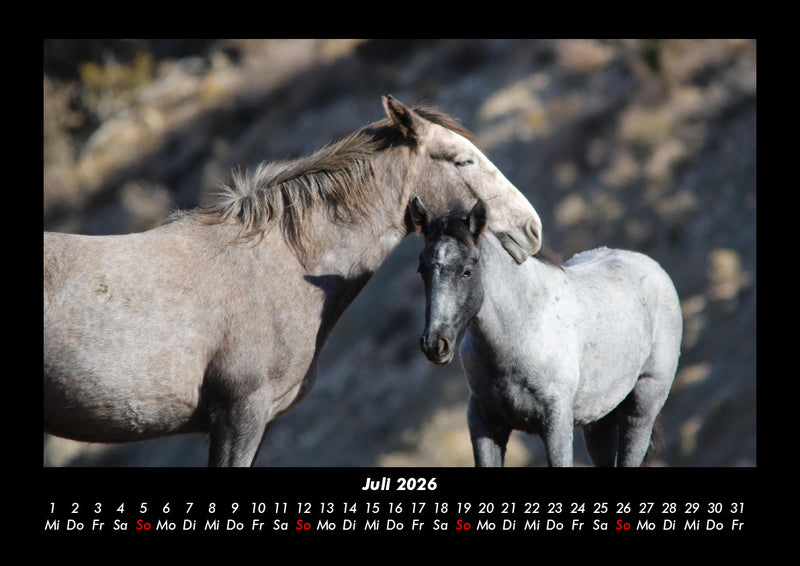 Pferdegeflüster Fotokalender 2026 - 7