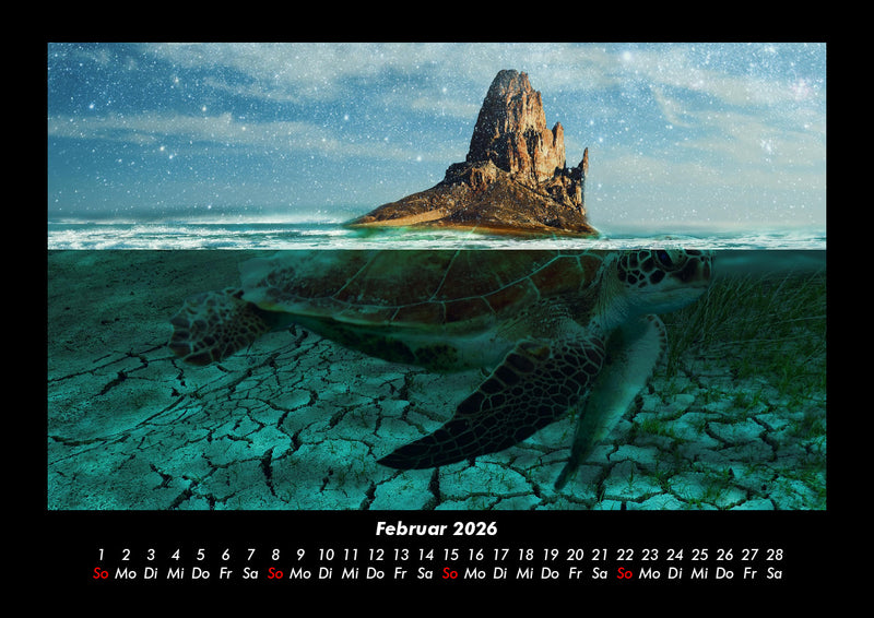 Schildkrötenzauber Fotokalender 2026 - 2