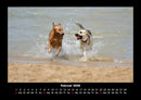 Hundezauber Fotokalender 2026 - 2