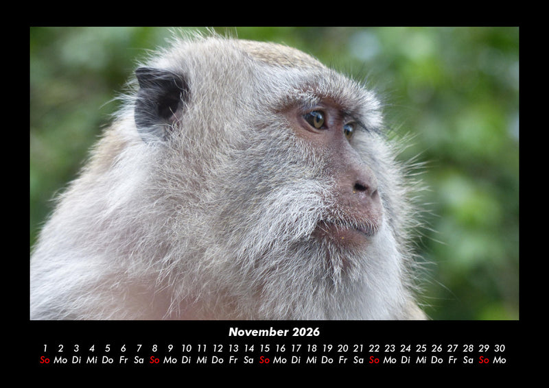 Bali Fotokalender 2026 - 11
