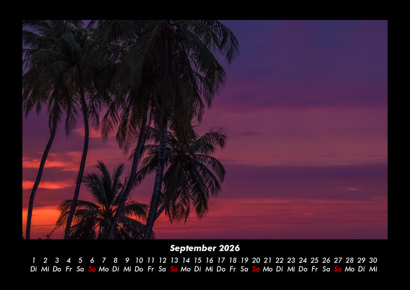 Palmentraum Fotokalender 2026 - 9