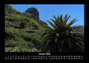 Palmentraum Fotokalender 2026 - 1