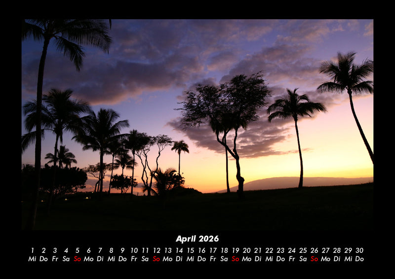 Palmentraum Fotokalender 2026 - 4