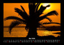 Palmentraum Fotokalender 2026 - 5