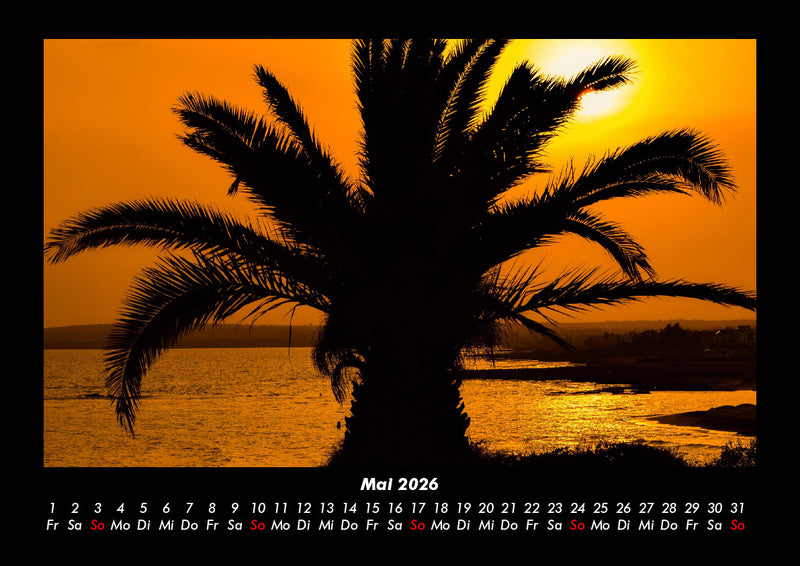 Palmentraum Fotokalender 2026 - 5