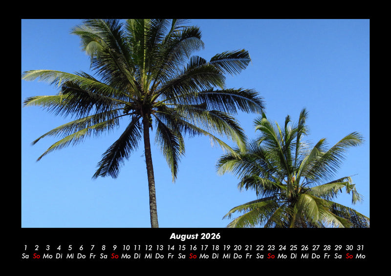 Palmentraum Fotokalender 2026 - 8