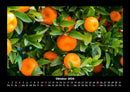 Obstkalender Fotokalender 2026 - 10