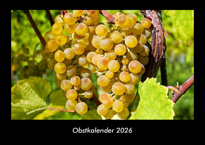 Obstkalender Fotokalender 2026 - Hauptbild