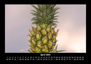 Obstkalender Fotokalender 2026 - 4