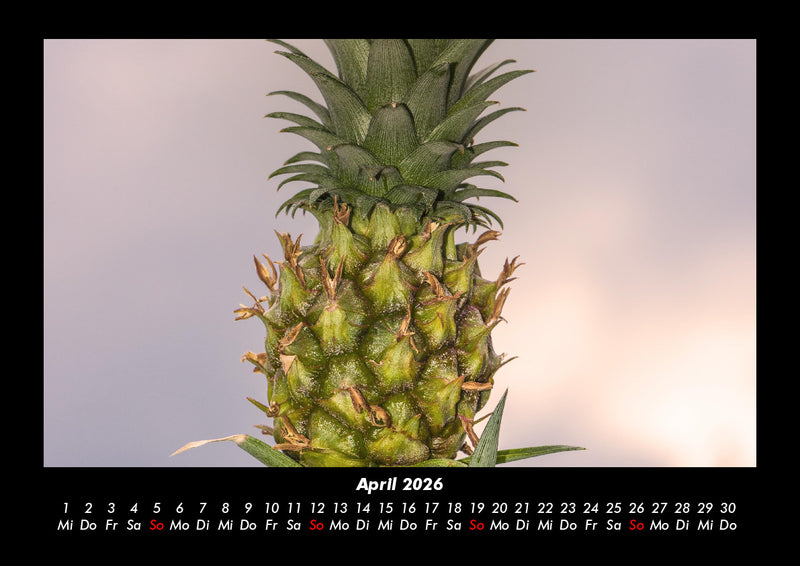 Obstkalender Fotokalender 2026 - 4