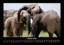 Elefanten - Die sanften Riesen Afrikas Fotokalender 2026 - 10
