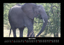 Elefanten - Die sanften Riesen Afrikas Fotokalender 2026 - 4
