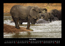 Elefanten - Die sanften Riesen Afrikas Fotokalender 2026 - 6