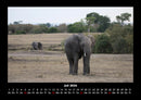Elefanten - Die sanften Riesen Afrikas Fotokalender 2026 - 7