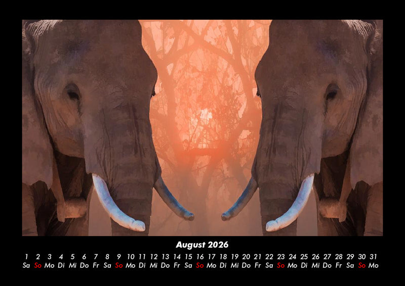 Elefanten - Die sanften Riesen Afrikas Fotokalender 2026 - 8