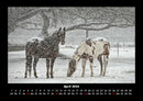 Winterzauber Fotokalender 2026 - 4