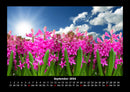 Blumenzauber Fotokalender 2026 - 9