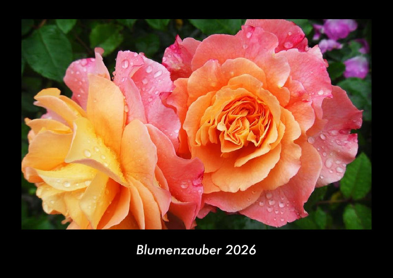Blumenzauber Fotokalender 2026 - Hauptbild