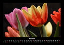 Blumenzauber Fotokalender 2026 - 5