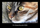 Für Katzenfreunde Fotokalender 2026 - Hauptbild
