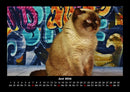 Für Katzenfreunde Fotokalender 2026 - 6