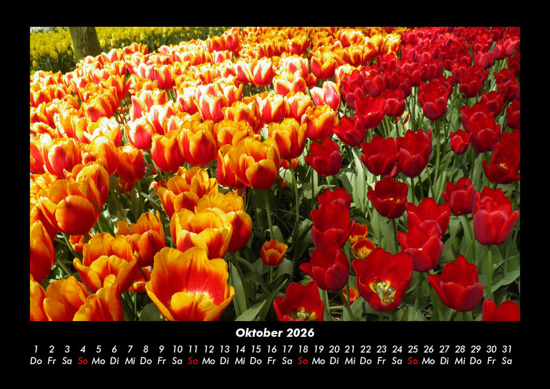 Blick in die Natur Fotokalender 2026 - 10