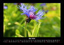 Blick in die Natur Fotokalender 2026 - 5