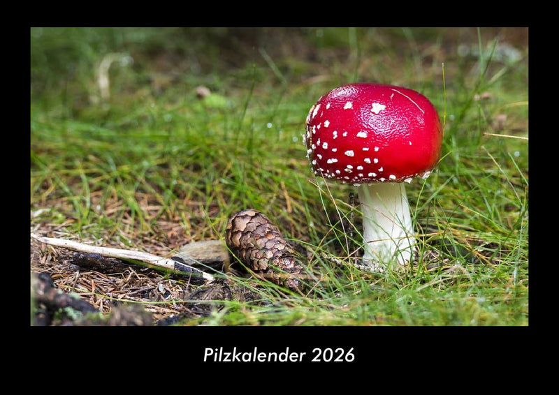 Pilzkalender Fotokalender 2026 - Hauptbild