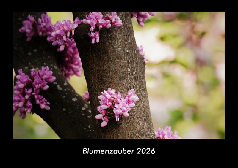 Blumenzauber Fotokalender 2026 - Hauptbild