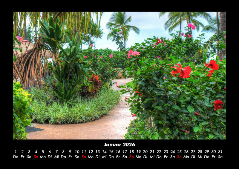 Blumenzauber Fotokalender 2026 - 1