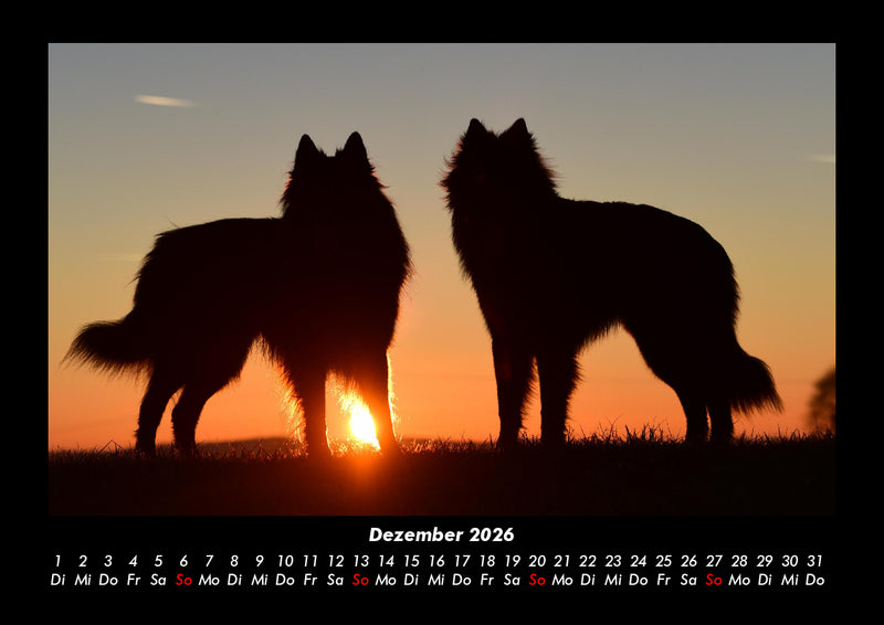 Hundezauber Fotokalender 2026 - 12