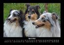Hundezauber Fotokalender 2026 - 4