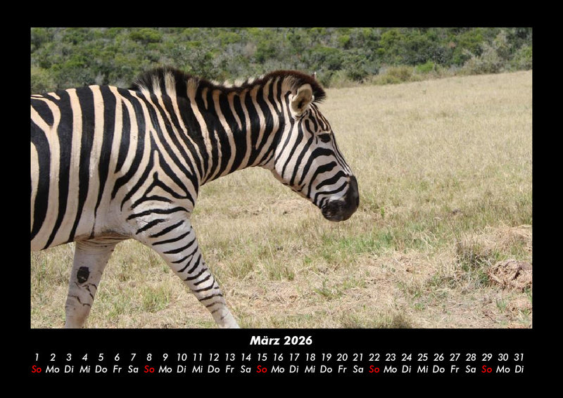 Der Tierkalender Fotokalender 2026 - 3