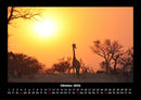 Giraffen Fotokalender 2026 - 10