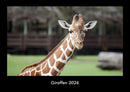 Giraffen Fotokalender 2026 - Hauptbild
