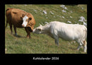 Kuhkalender Fotokalender 2026 - Hauptbild