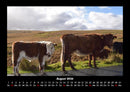 Kuhkalender Fotokalender 2026 - 8