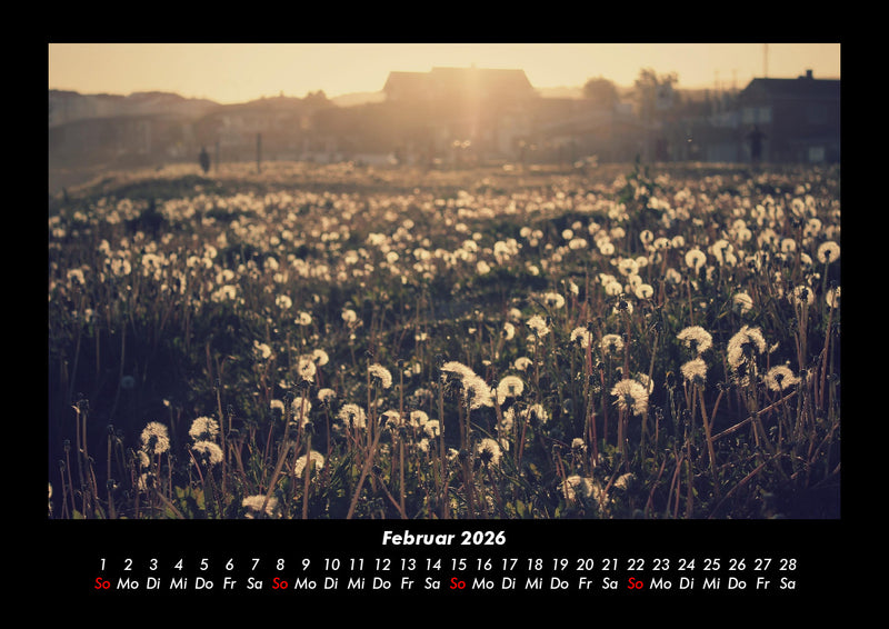 Blumenzauber Fotokalender 2026 - 2