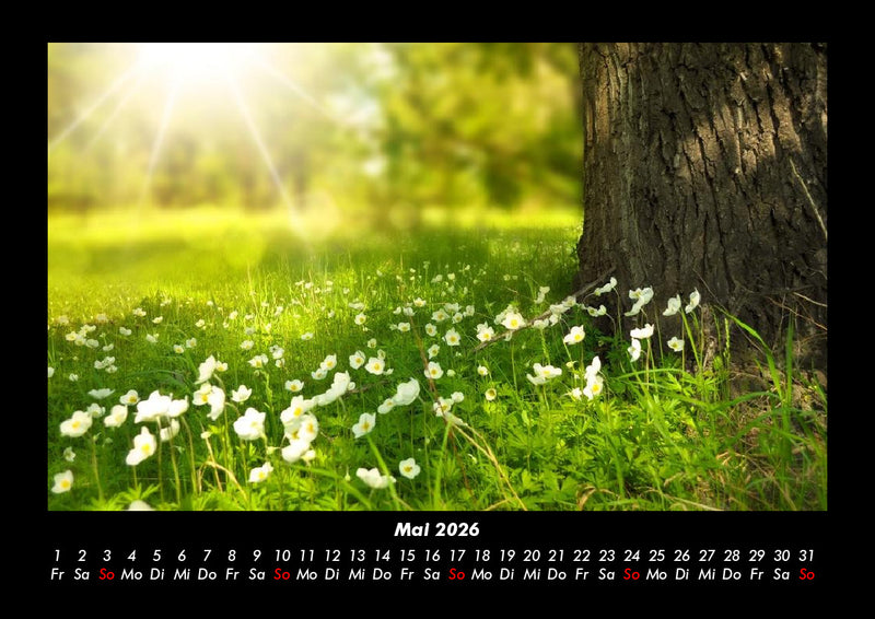 Blumenzauber Fotokalender 2026 - 5