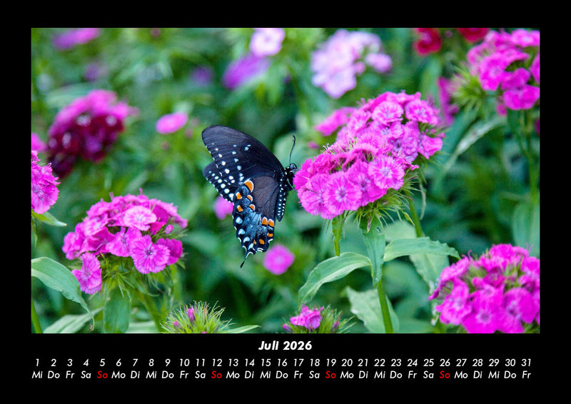 Blumenzauber Fotokalender 2026 - 7