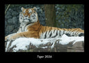 Tiger Fotokalender 2026 - Hauptbild