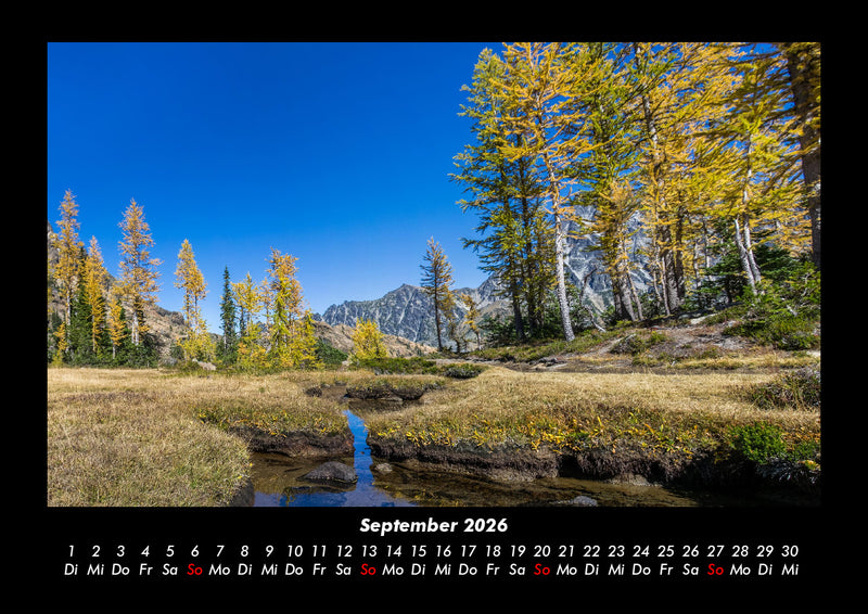 Bäume Fotokalender 2026 - 9