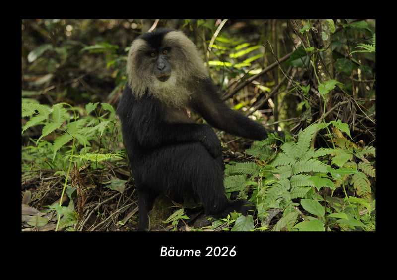 Bäume Fotokalender 2026 - Hauptbild