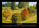 Bäume Fotokalender 2026 - 1